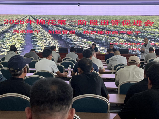 尉犁必赢网络游戏平台现代农业有限公司召开第二阶段田管推动会 田间观摩强认知 精准施策固丰产根基