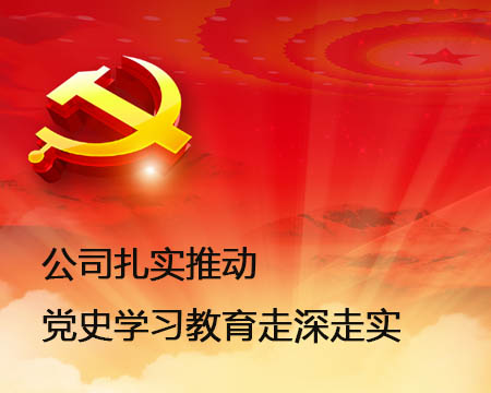 公司扎实推动党史进建教育走深走实